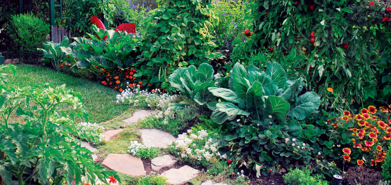 Vegetable Landscaping: 100 Sq Ft Gardening – Mother Earth News - Vimarsana News